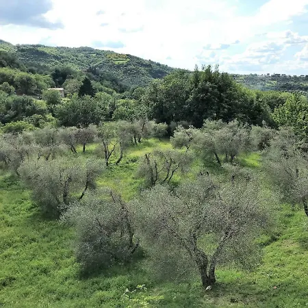 Podere Del Grasso